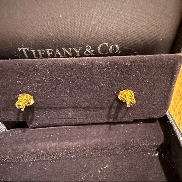 Tiffany & Co. Paloma’s Graffiti X Earrings - Picture 4 of 5